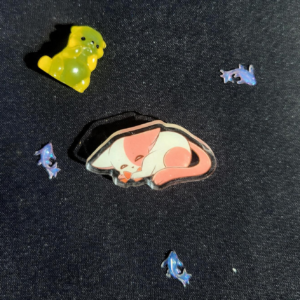 Pins Kilari