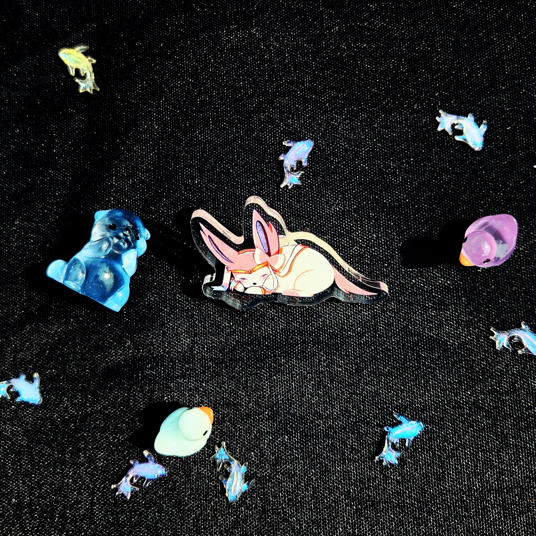 Pins Nymphali x Venus
